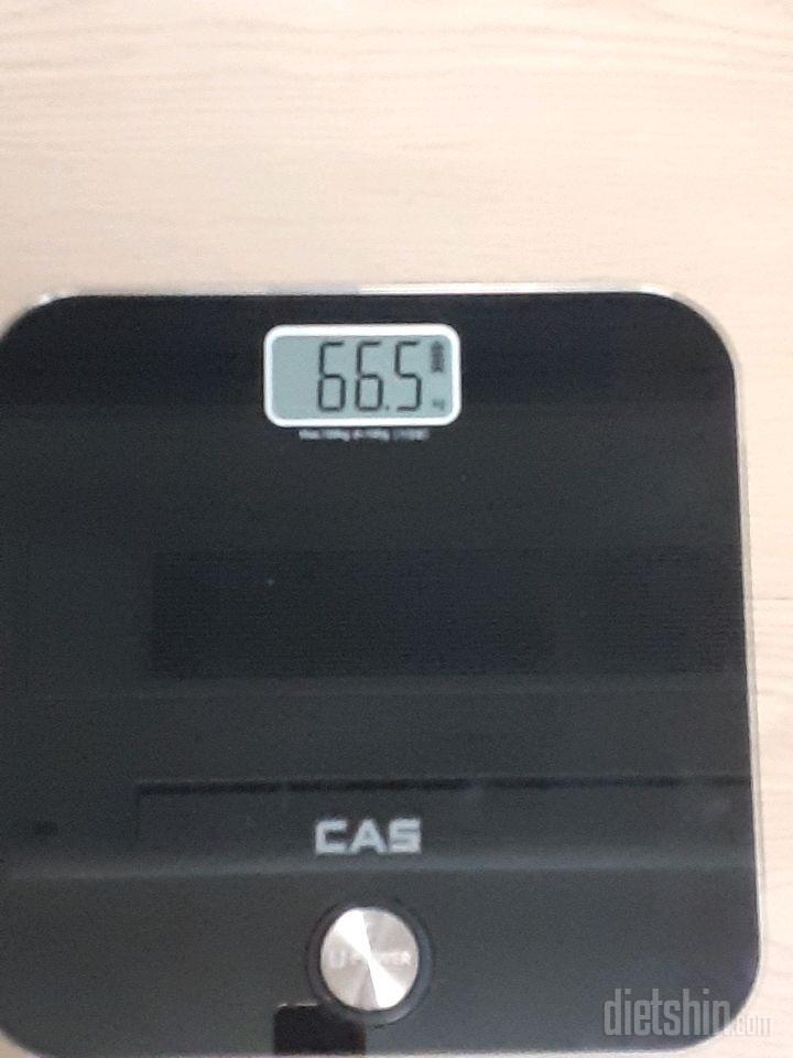 1일차-66.5kg 급찐살빼기