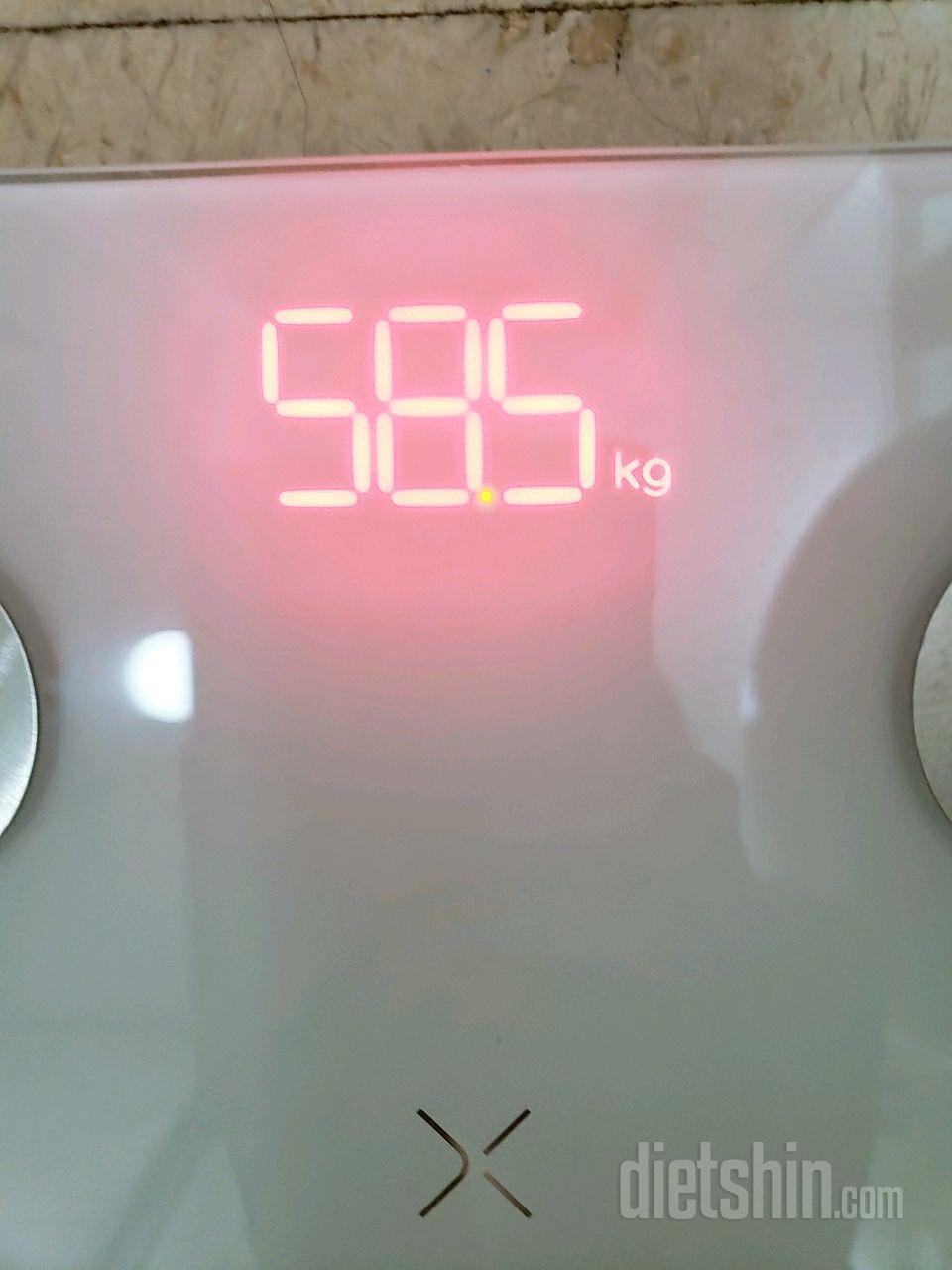 7/1 공체 58.5kg