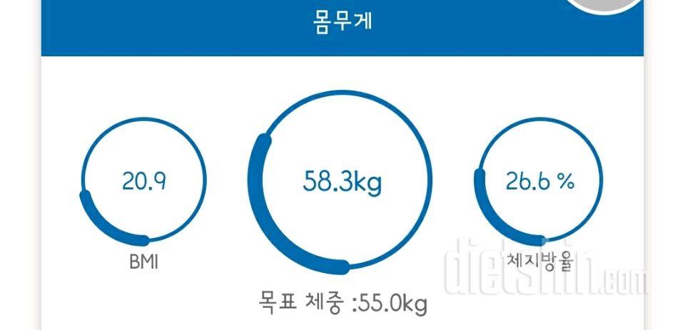 7월 3일 공체