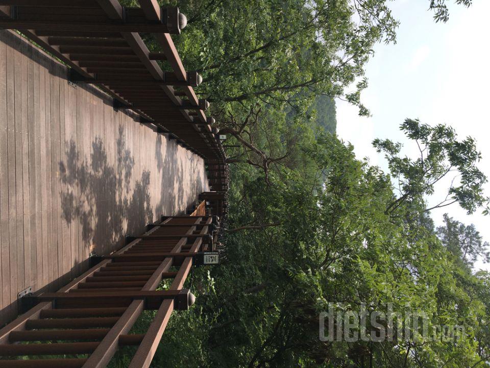 3일차 진행