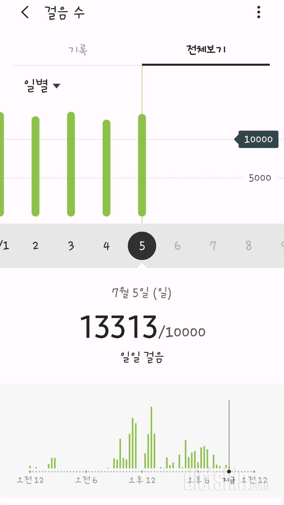 30일 만보 걷기 21일차 성공!