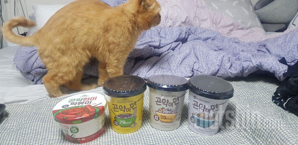 곤약이면은 아직안먹어봤어요  묵직하니