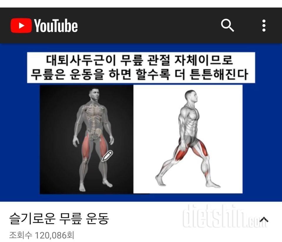 빵댕이 근육 키우는 가장 안전한 방법.