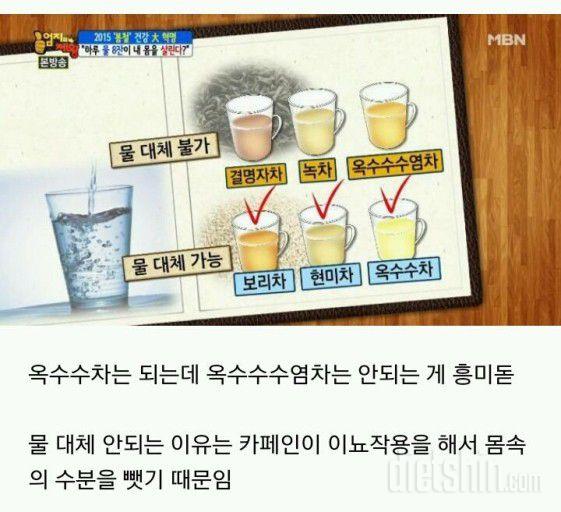 커뮤니티 - 팁&노하우 - 물 대용 차, 물 대신 마실 수 있는 차 - 다이어트신 다이어트신 - 다신 살찌지 말자