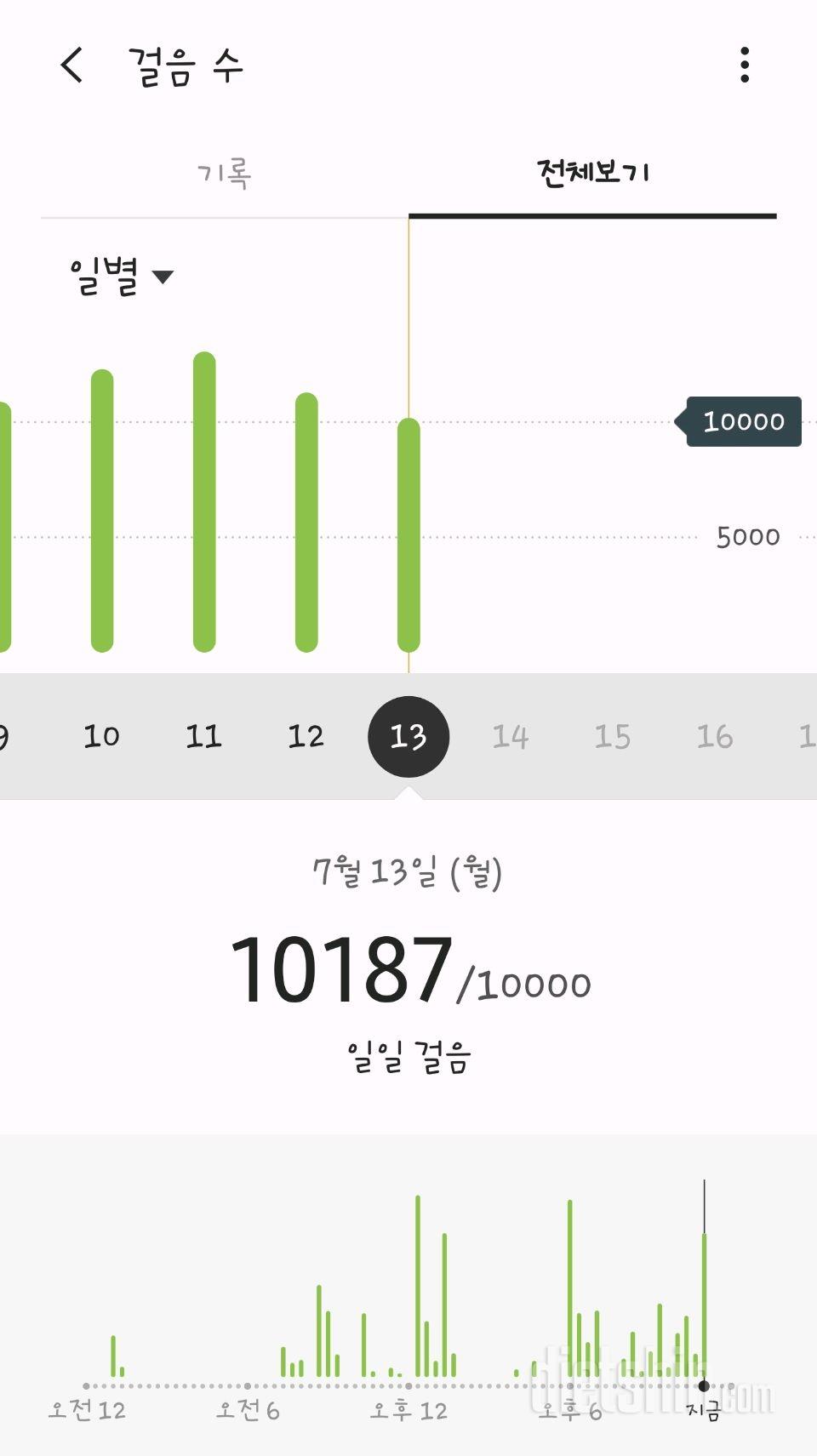 30일 만보 걷기 29일차 성공!