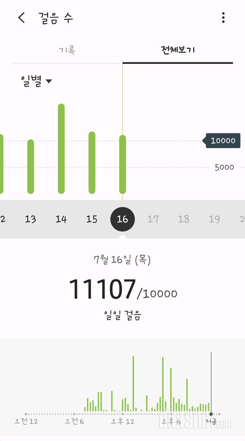 30일 만보 걷기 32일차 성공!