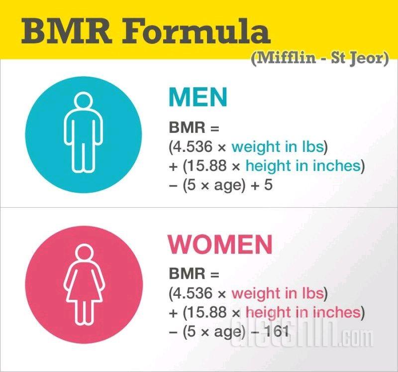 기초대사량, BMR 계산하기