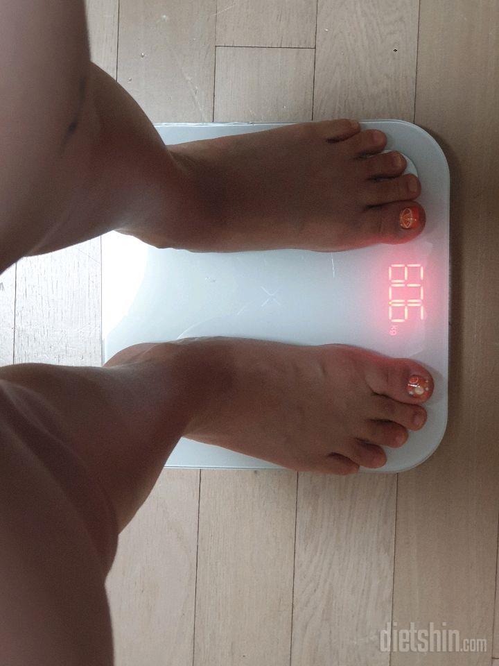 17일공체