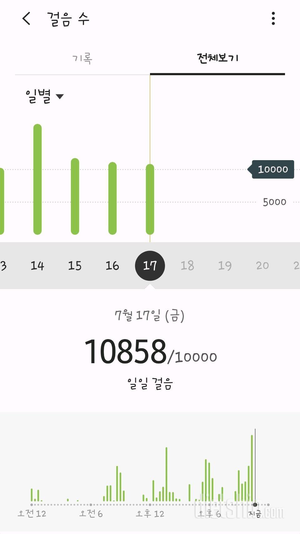 30일 만보 걷기 33일차 성공!