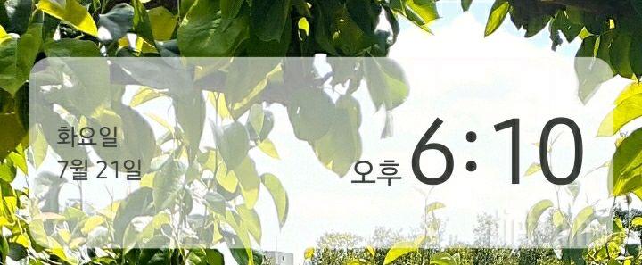 30일 야식끊기 23일차 성공!