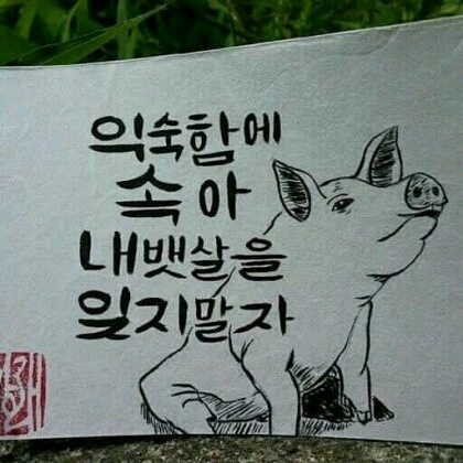 익숙함에 속아 내 뱃살을 잊지말자