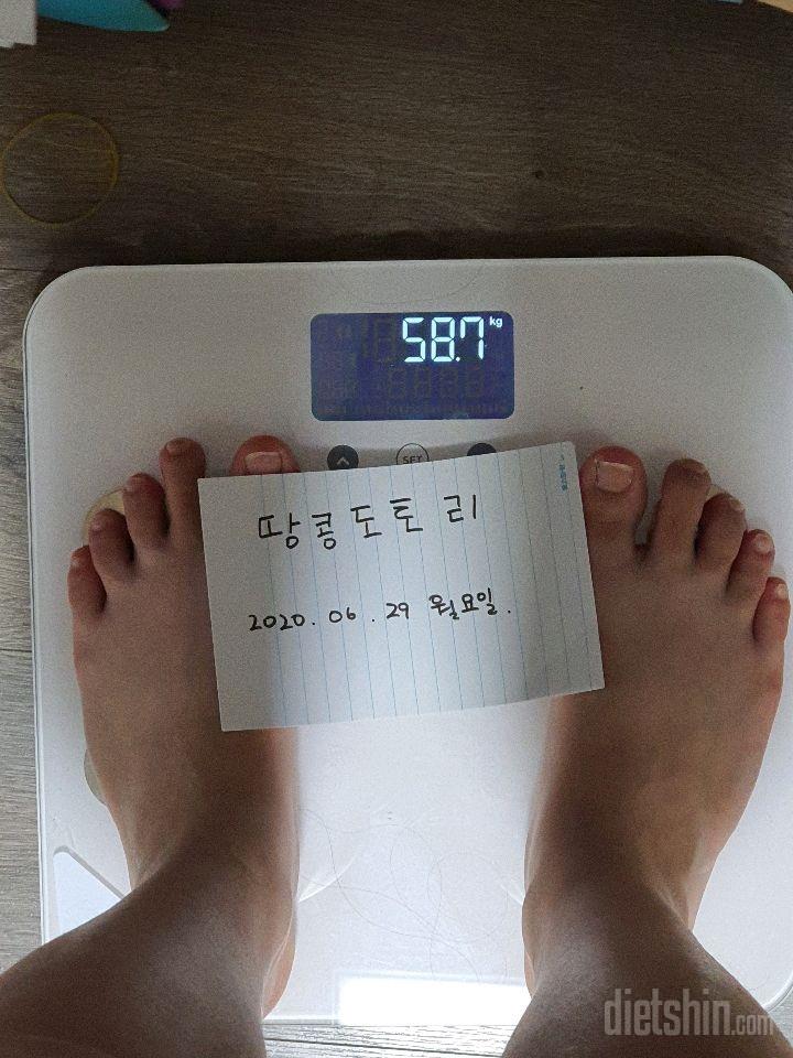 [도전 다신 16기] 최종후기