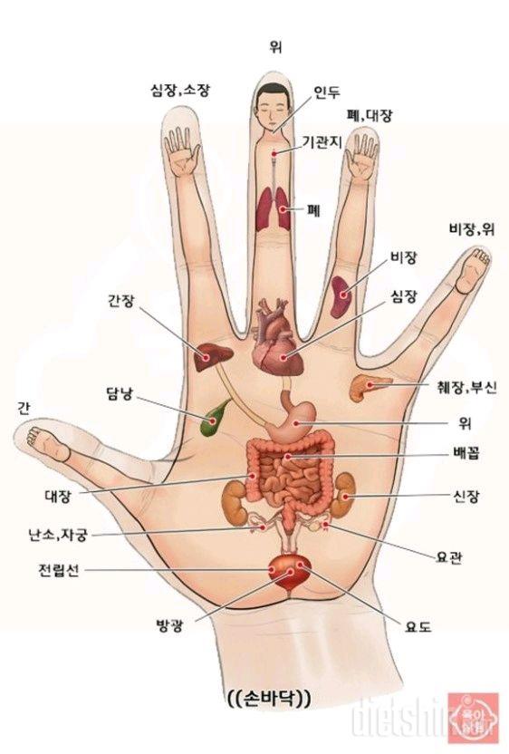 08월 08일( 아침식사 )