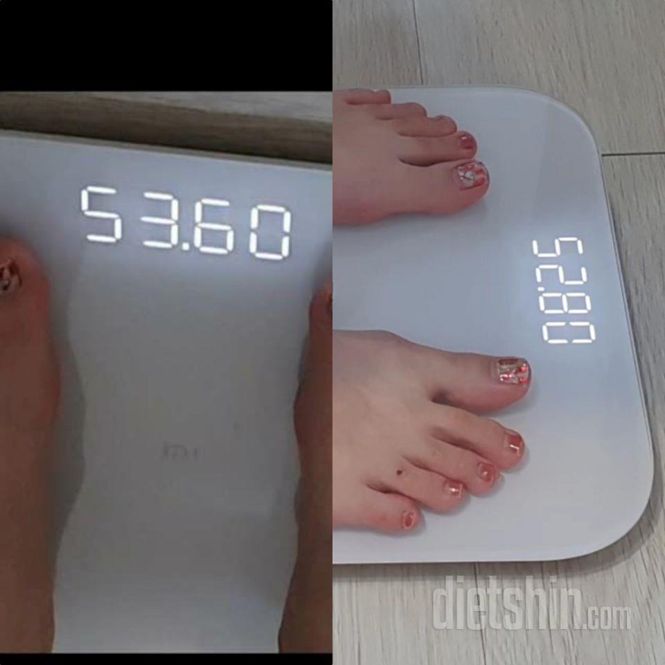 최종후기