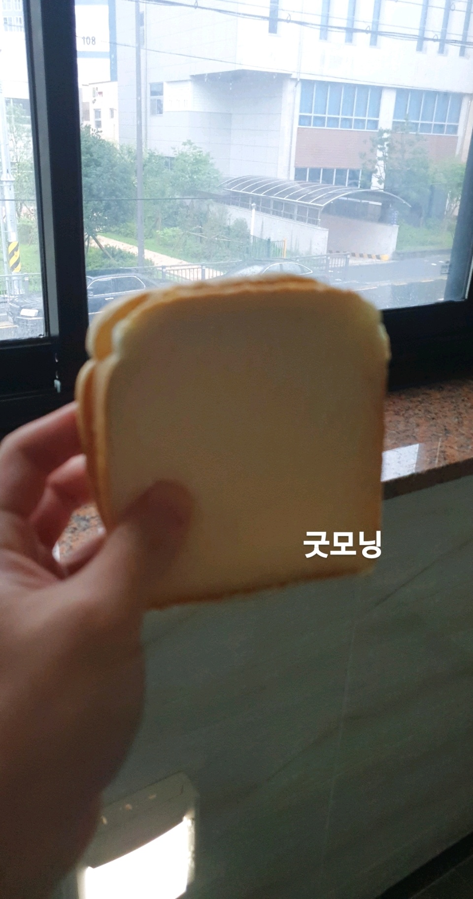 08월 10일( 아침식사 292kcal)