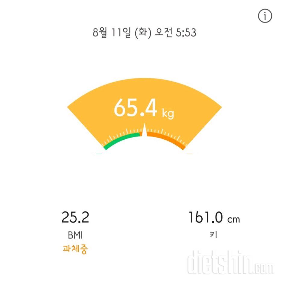 11일 화요일 공체