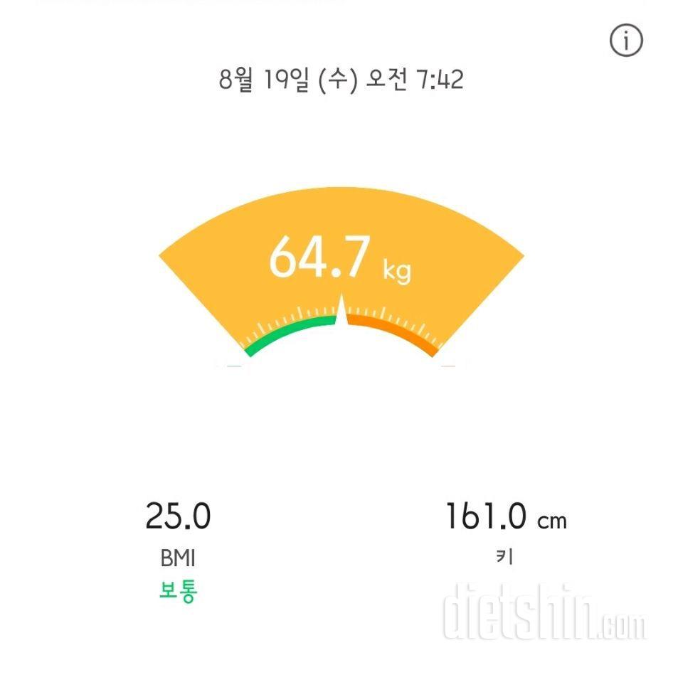 19일 공체