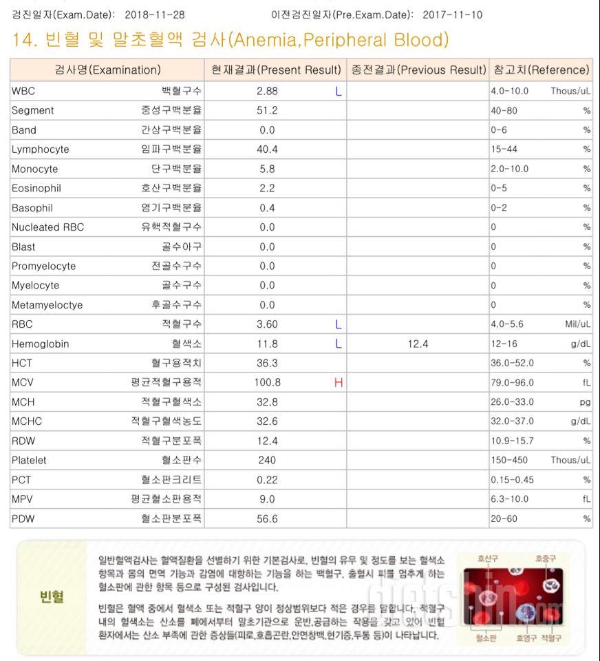 화요일 식단- 수요일 공체