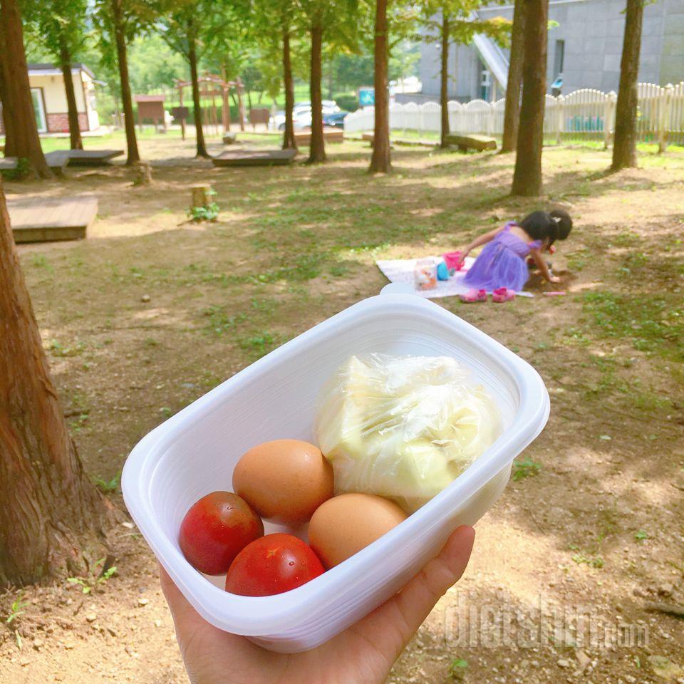 [95일차]🌱소풍