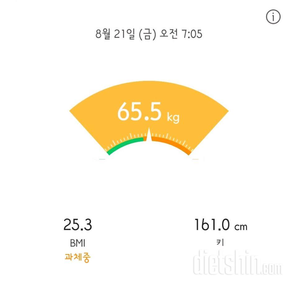 21일 공체