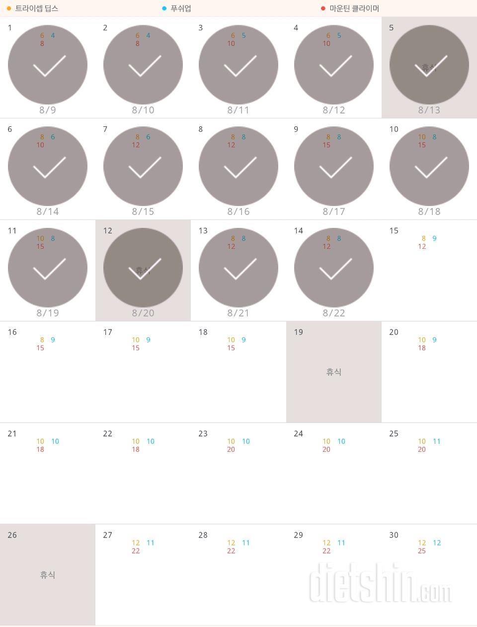 30일 슬림한 팔 14일차 성공!