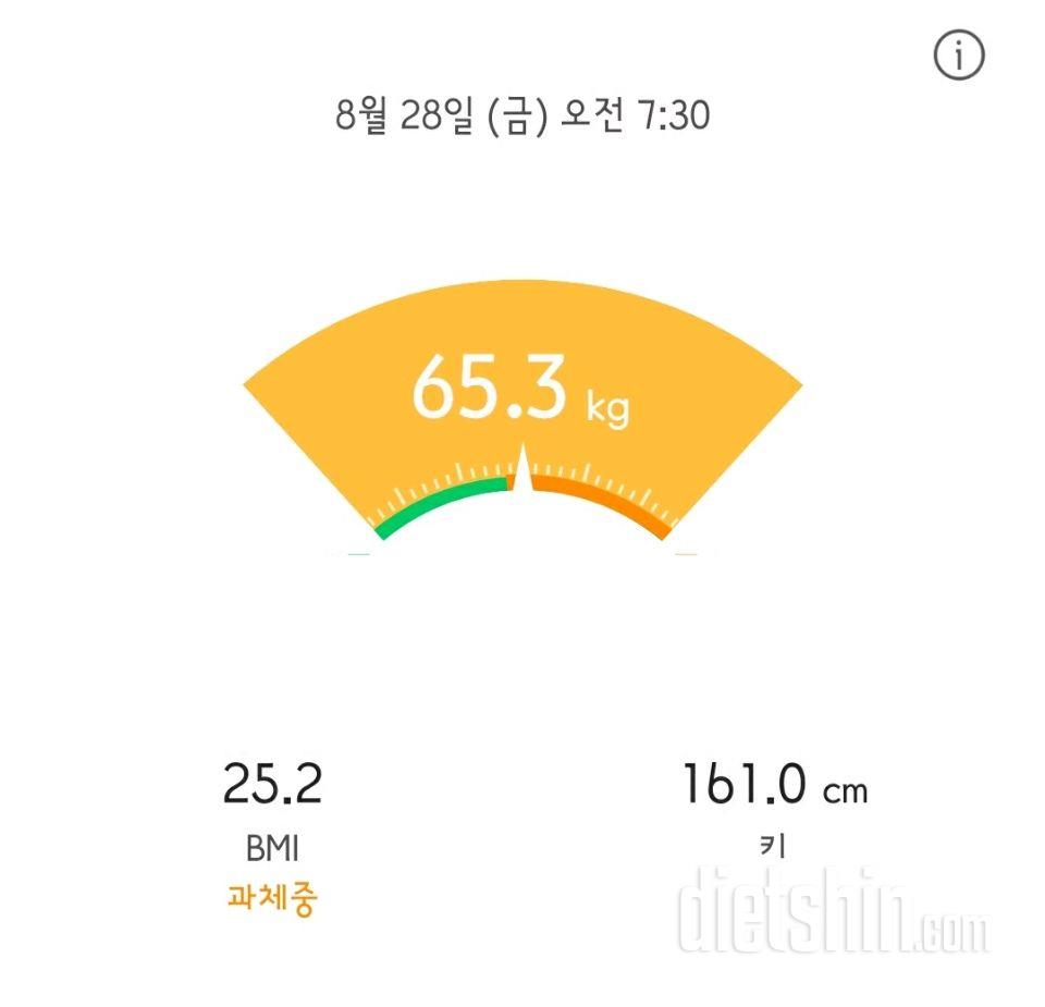 28일 공체