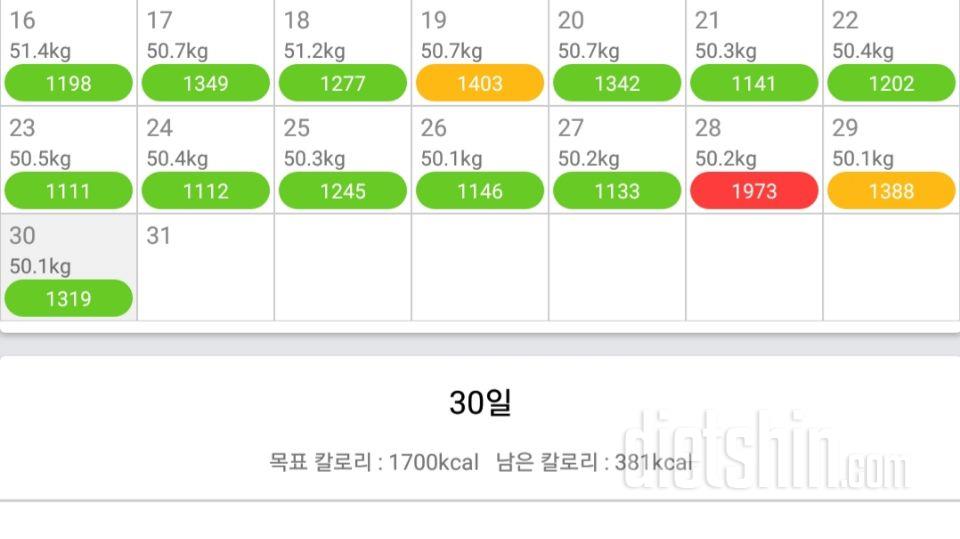 최종후기