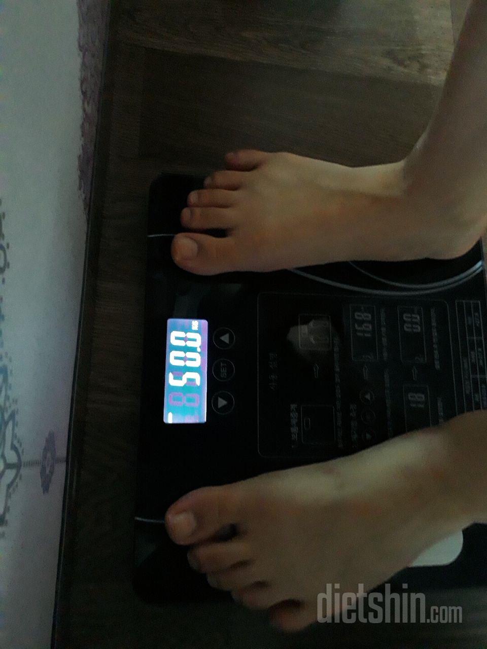 최종후기