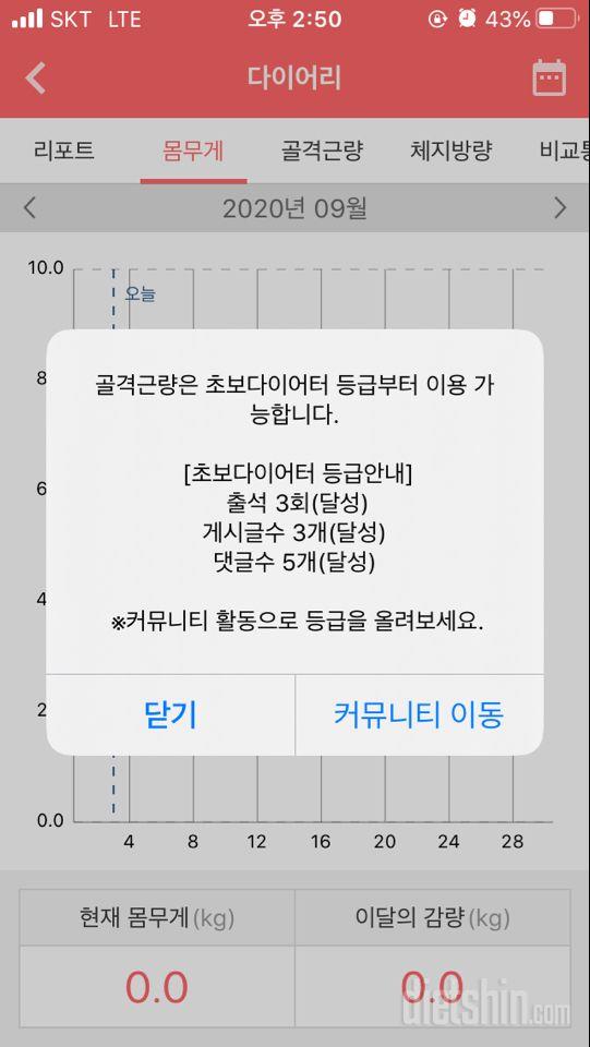 리포트? 요거 언제부터 사용가능한가요?