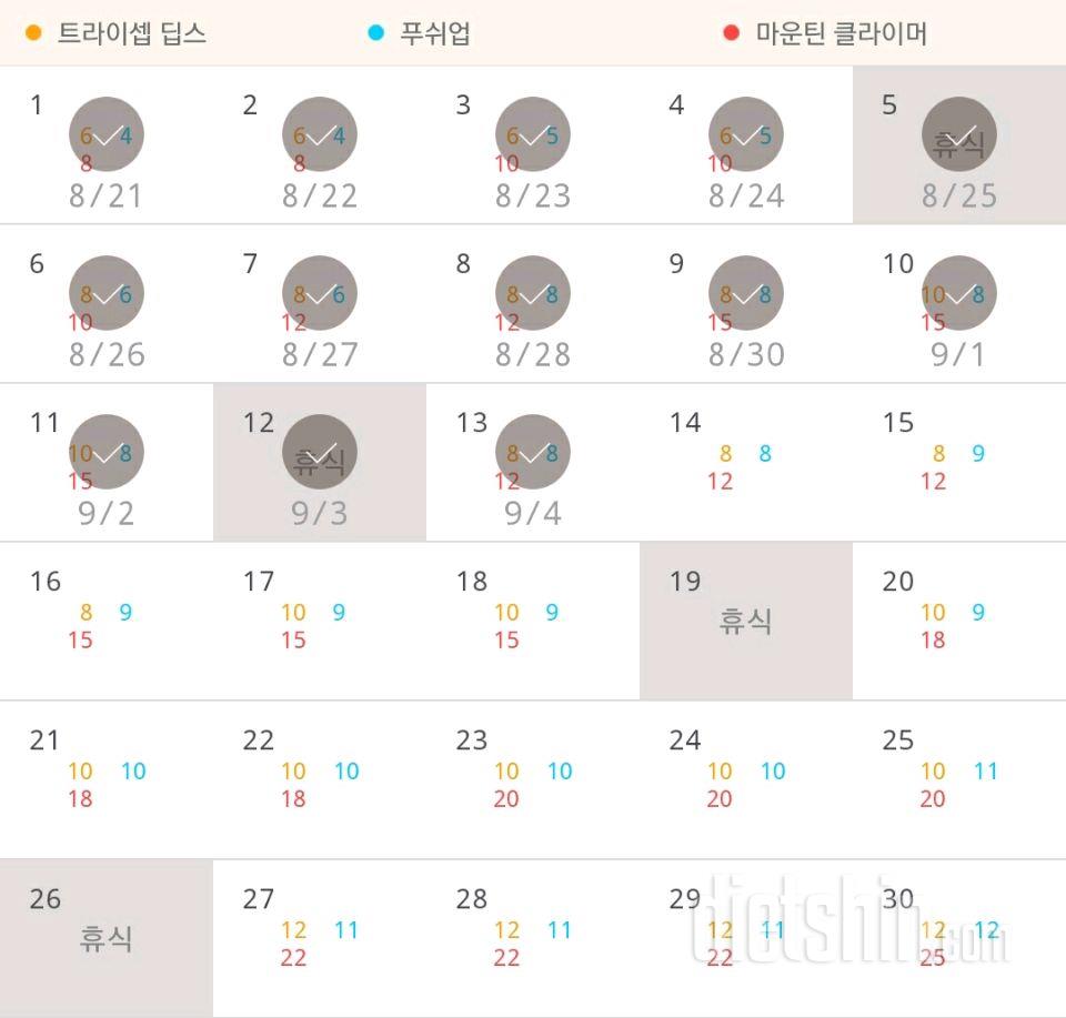 30일 슬림한 팔 13일차 성공!