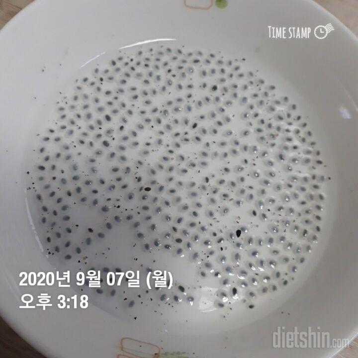 밥많이 먹어야 포만감 느껴서 혹시나