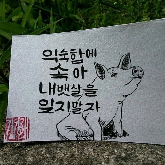 다이어트 팩트 폭격