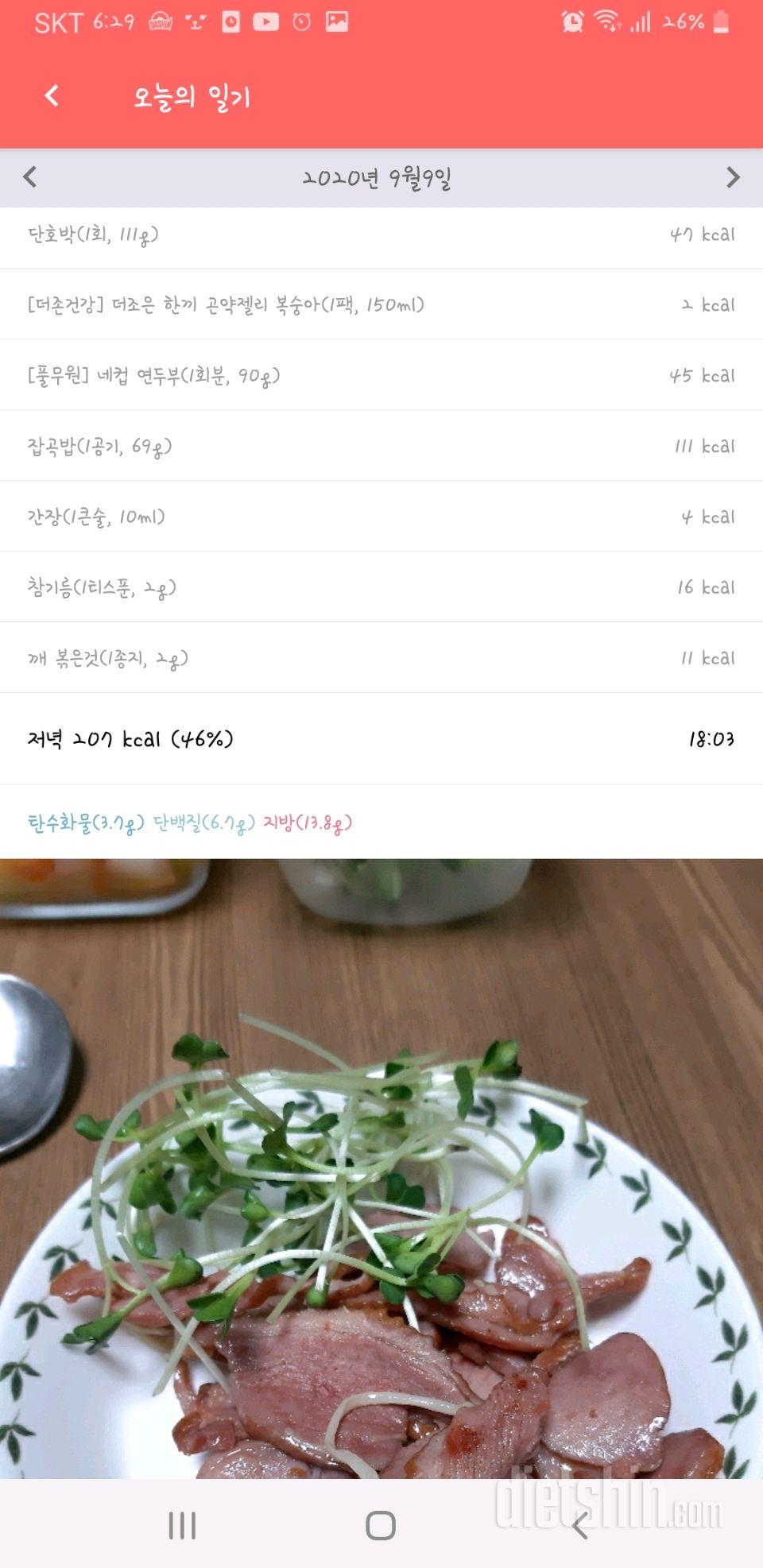 9/9 공처1+식단