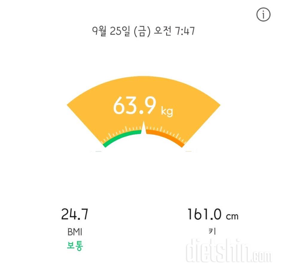 25일 공체