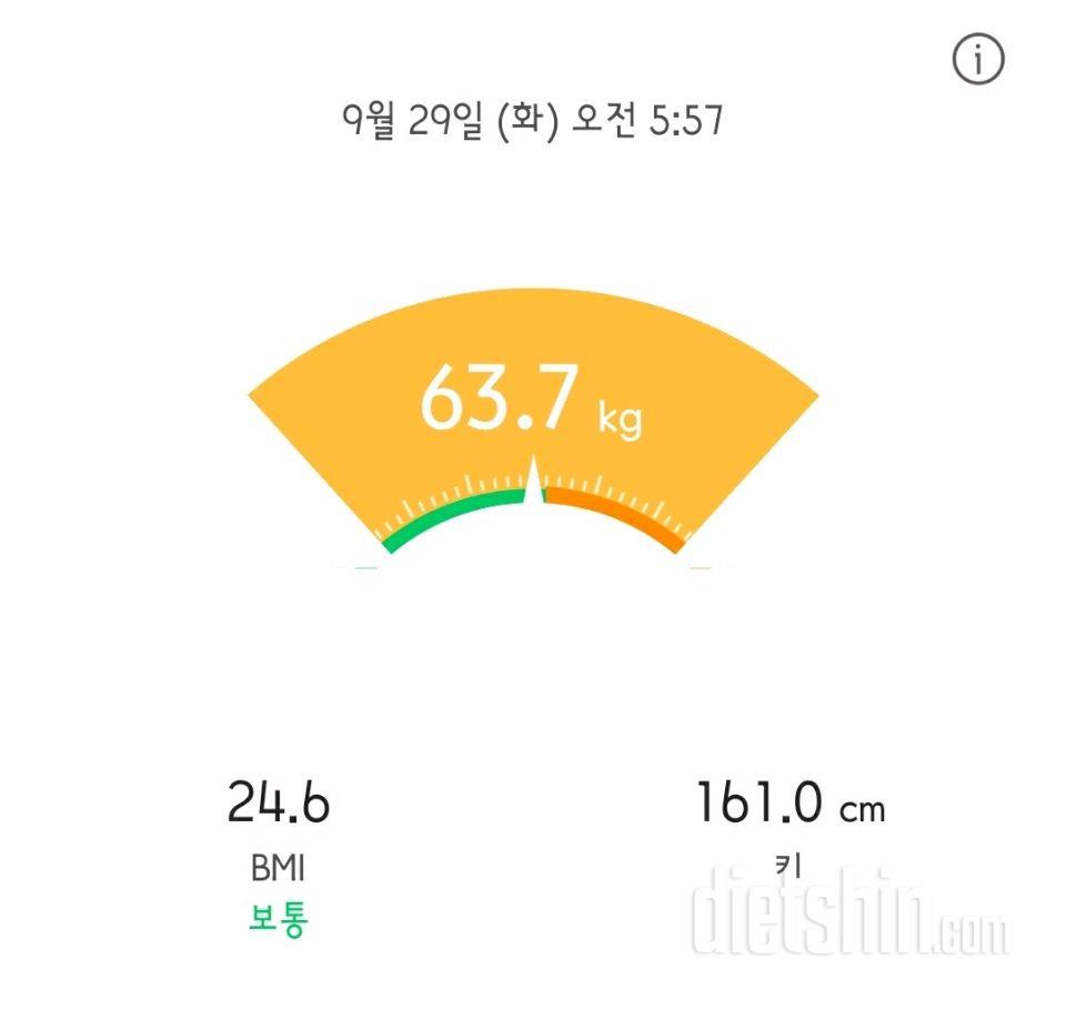 29일 공체