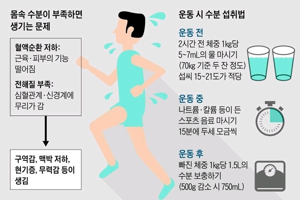 운동 후 수분섭취가 중요한 이유