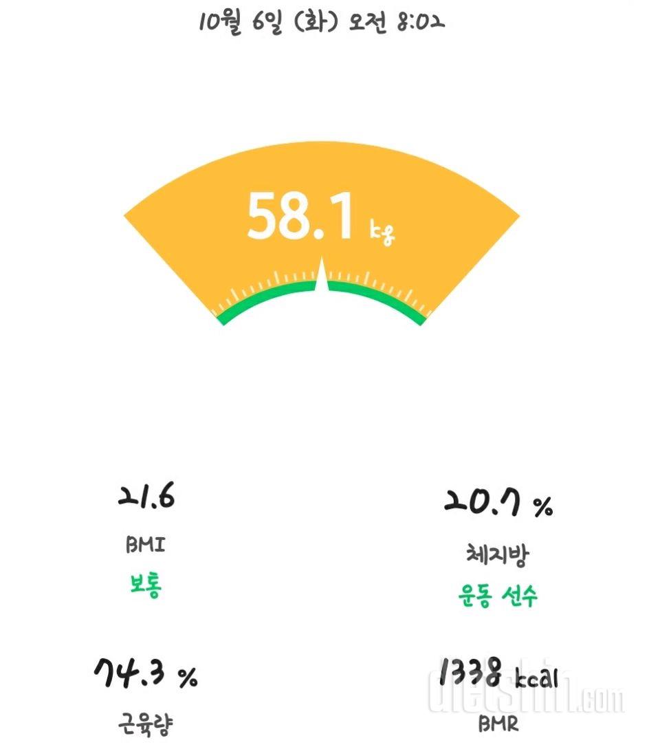 1006공체:58.1