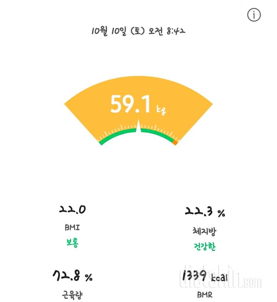 1010공체: 59.1