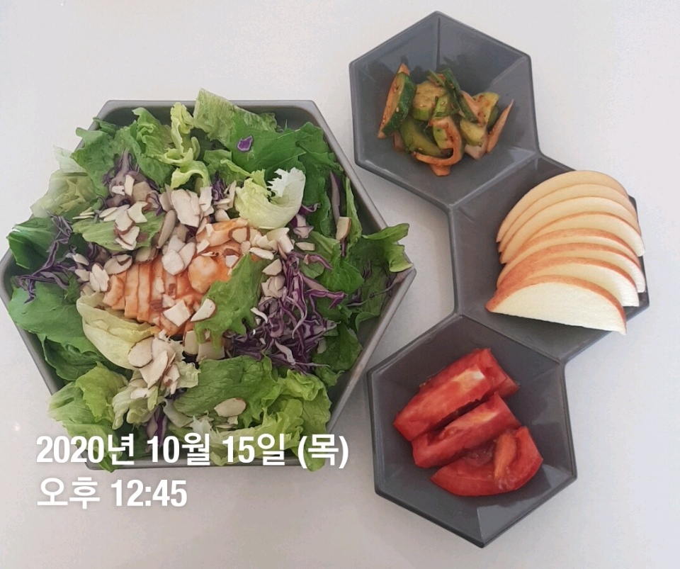 10월 15일( 점심식사 251kcal)