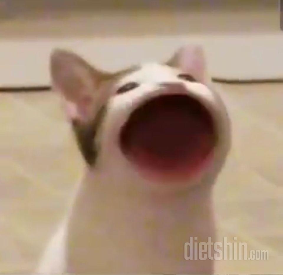 아직 안 먹어봤지만 괜찮을 거 같아요