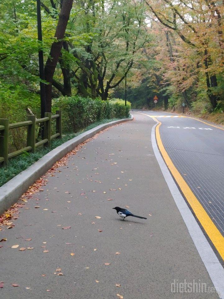 남산걷기 완료.