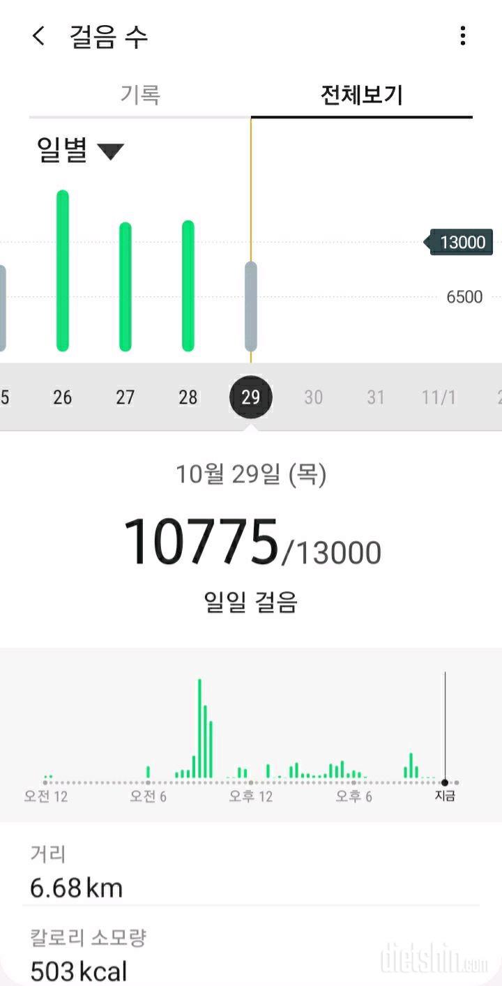 30일 만보 걷기 10일차 성공!