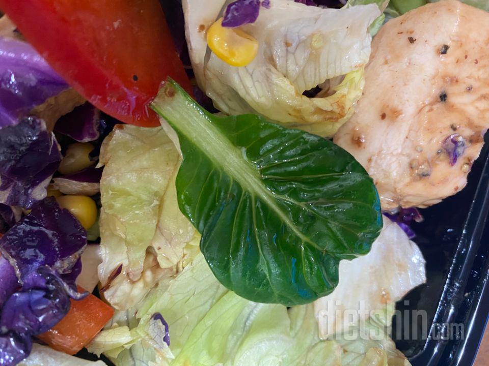 샐러드 진심 다 맛있네요 다 넘 싱싱