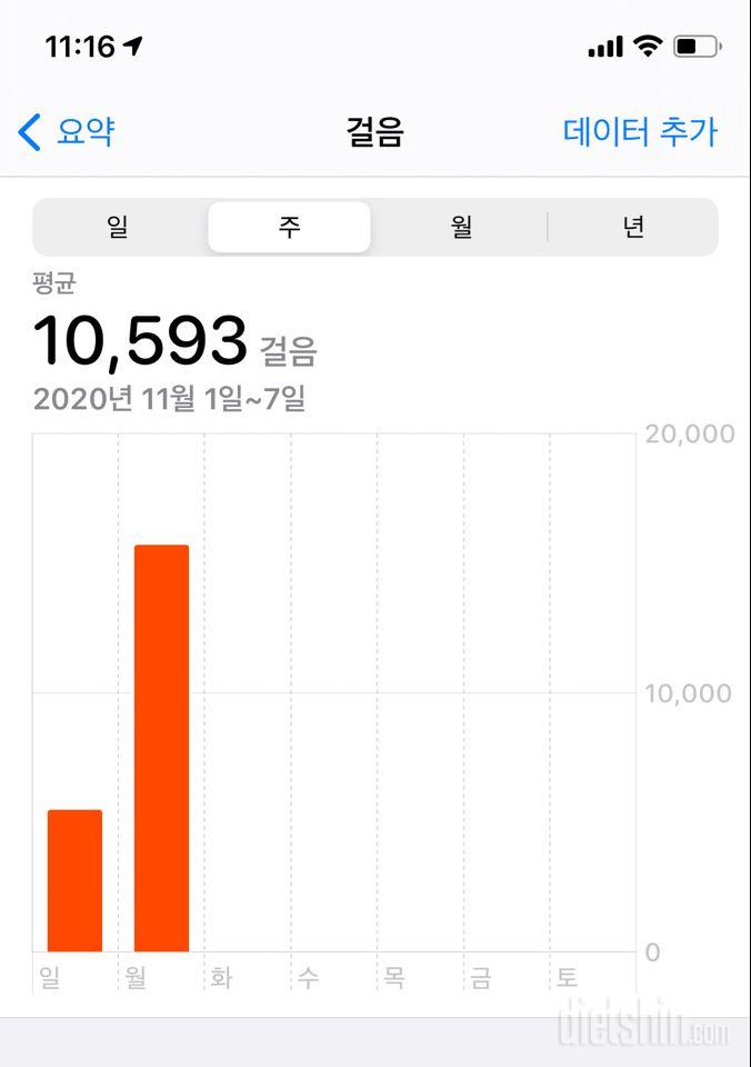 30일 만보 걷기 31일차 성공!