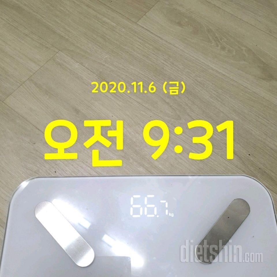 11월 6일 공체_66.7kg