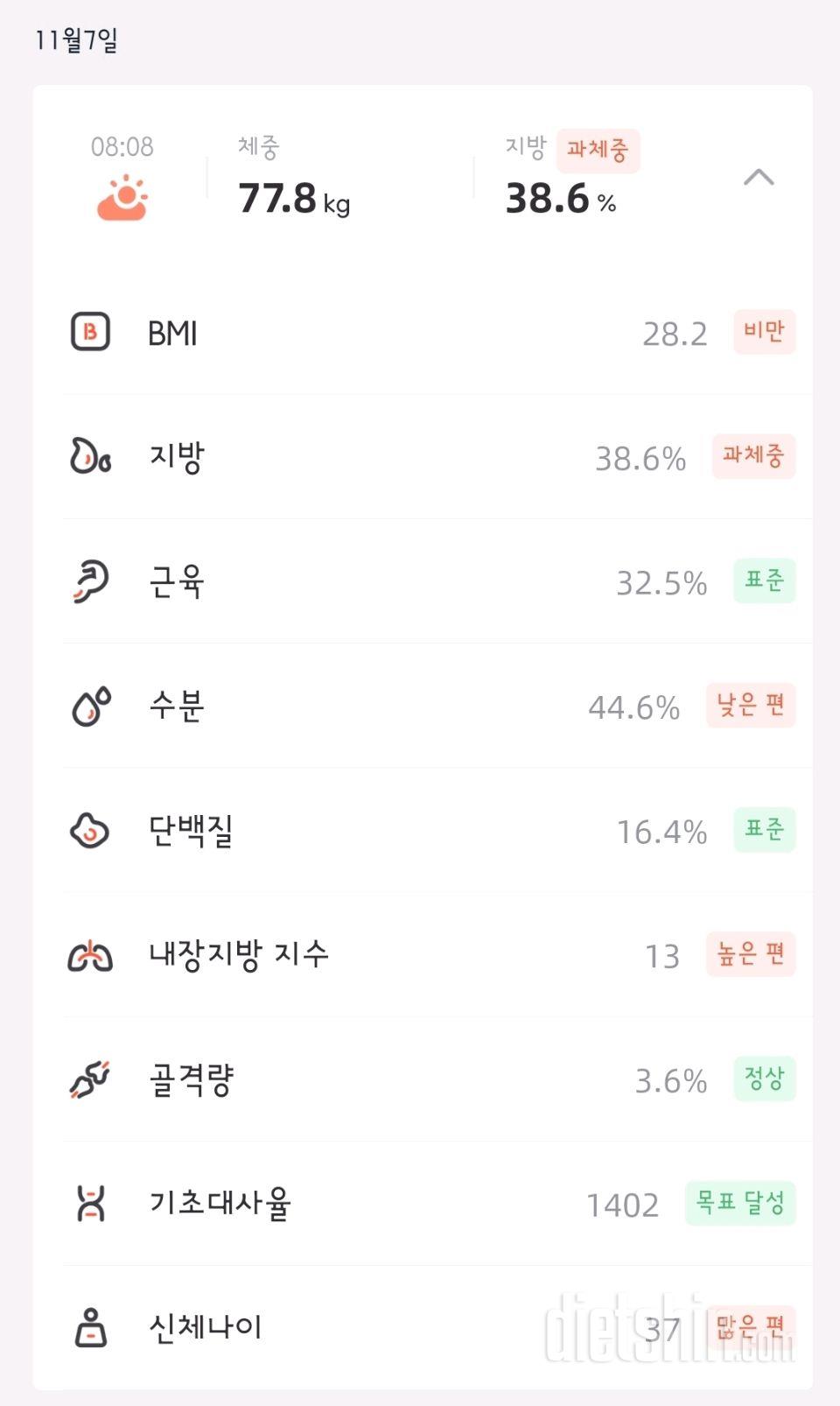 11월 7일 공체