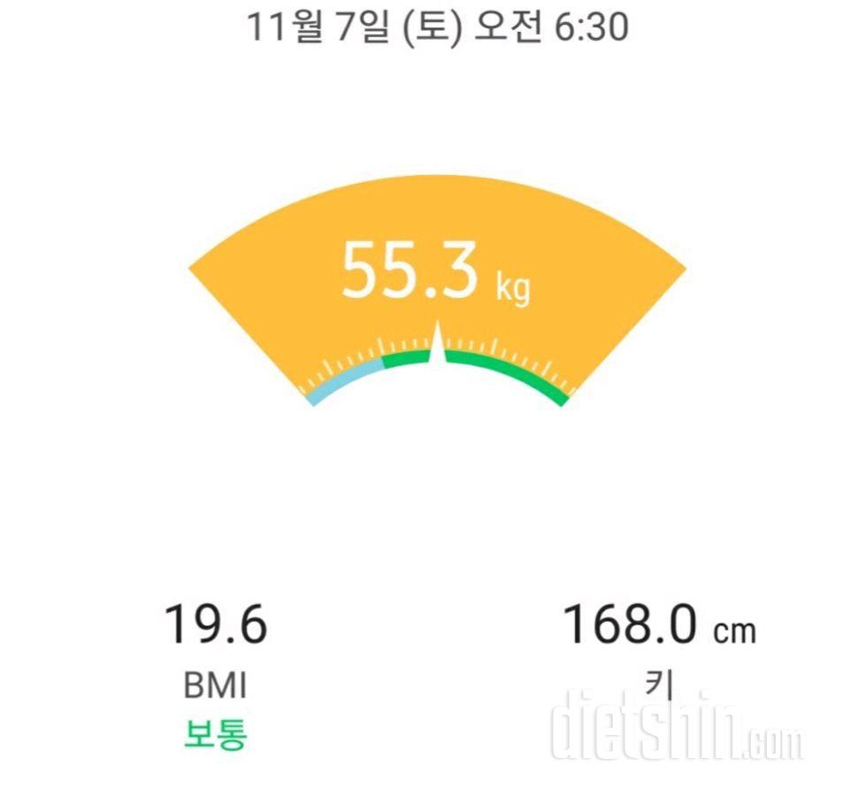 11월7일(공체)