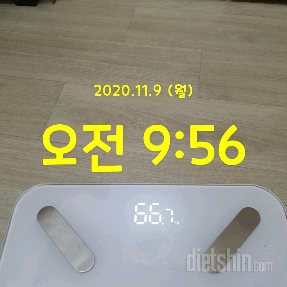 11월 9일 공복체중_66.7kg