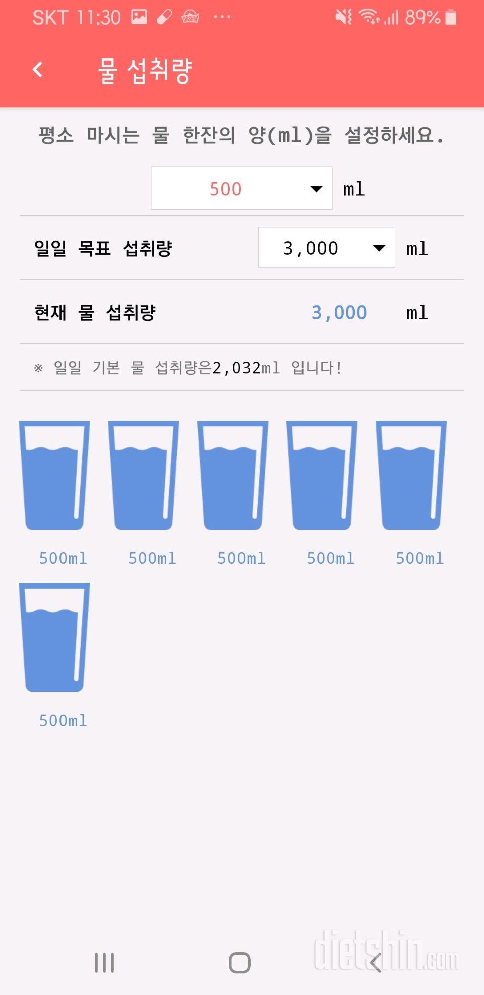 30일 하루 2L 물마시기 33일차 성공!