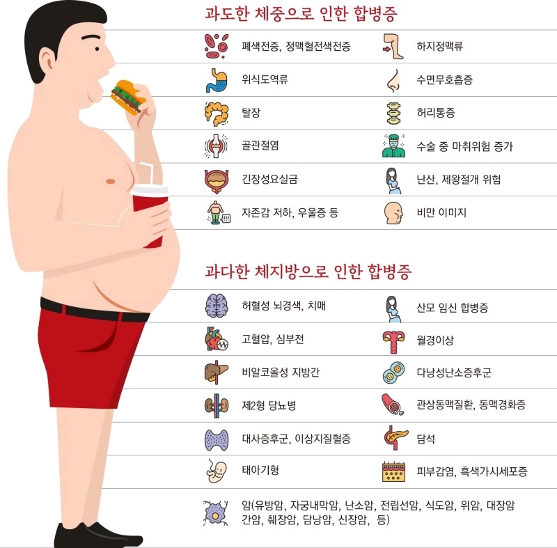 비만으로 인한 합병증